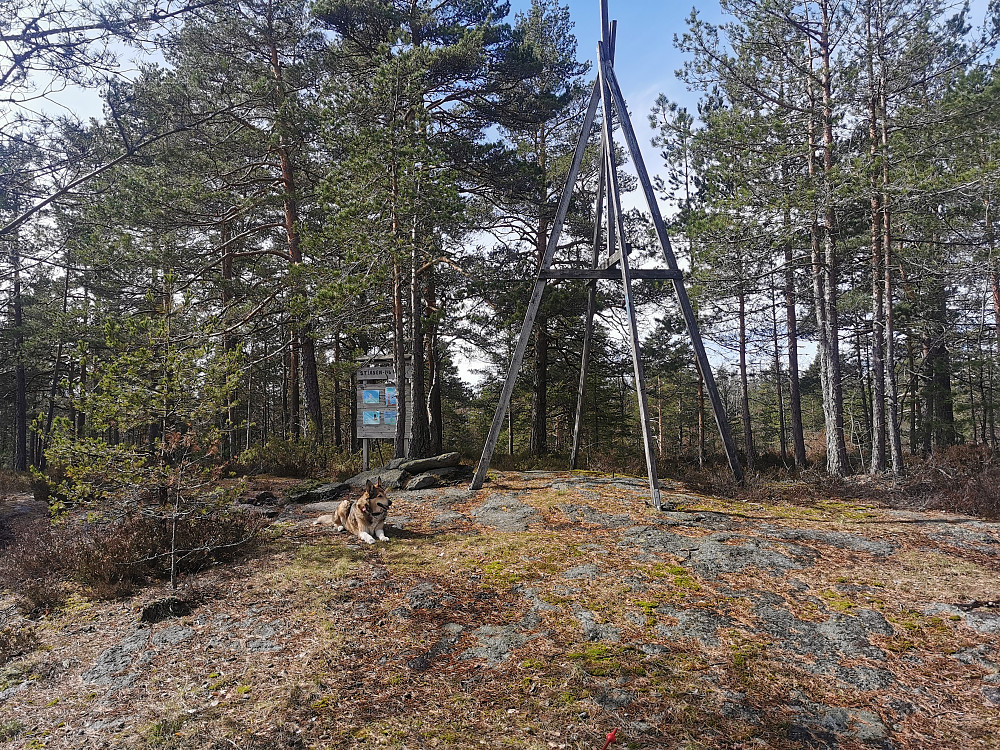 Stiåsen 1