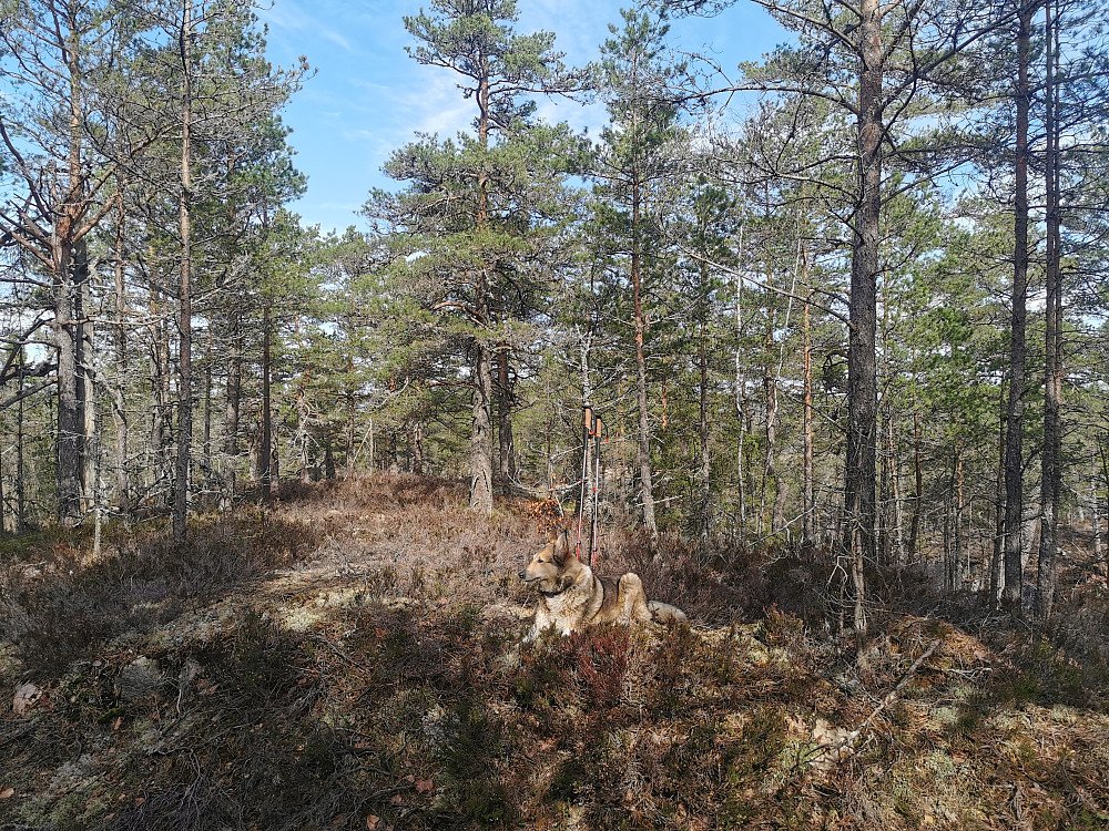 Stiåsen 2
