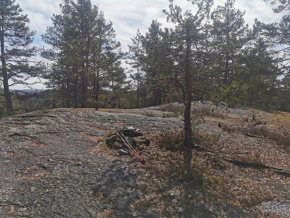 Kjempås