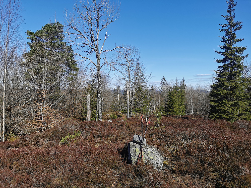 Barlindglovåsen
