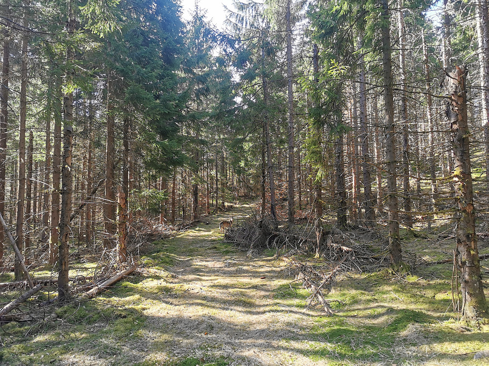 Snart slutt på traktorveien