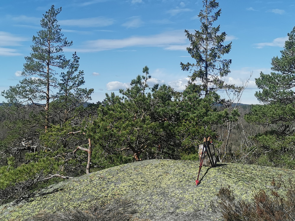 Tiuråsen