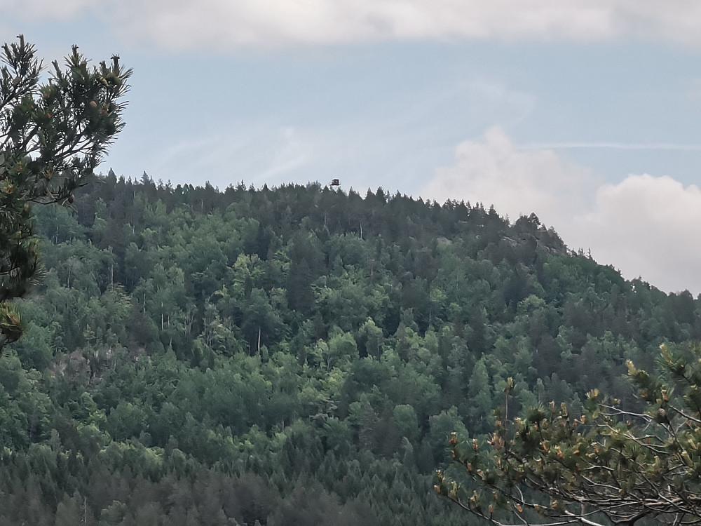 Branntårnet på Hestfjellet fra Heståsen