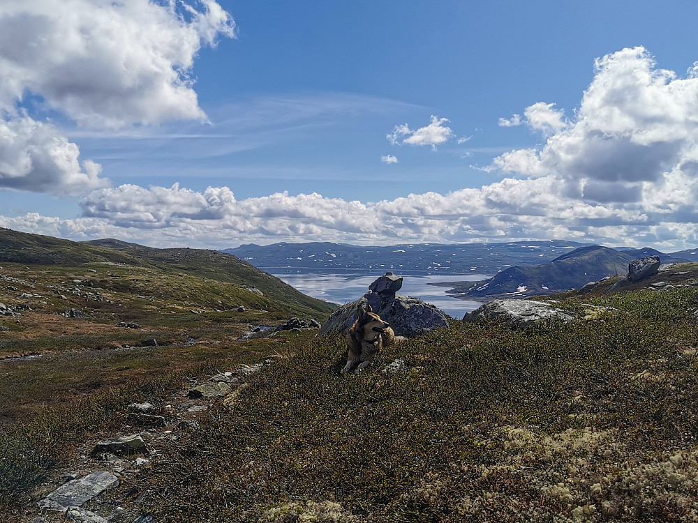 Liten pause etter den bratte starten