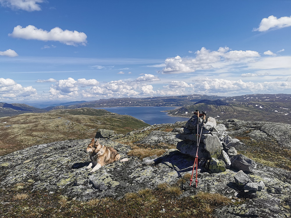 Nord for Sigurdstjønnberget