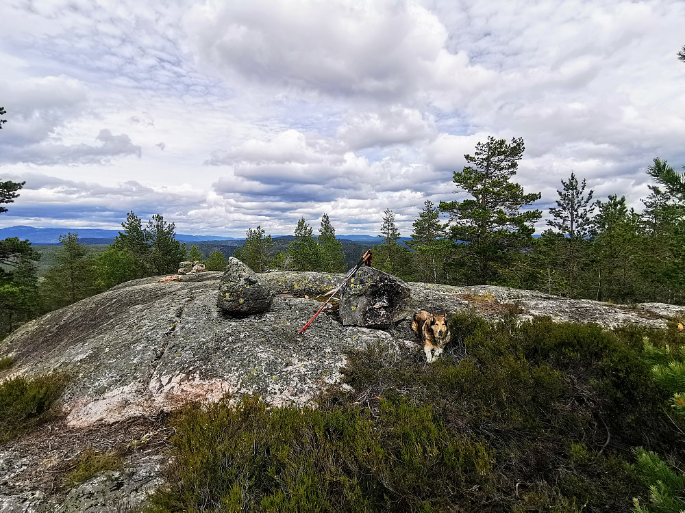 Toppen på Sauås