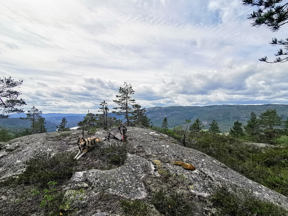 Topp punktet på Stulsfjellet