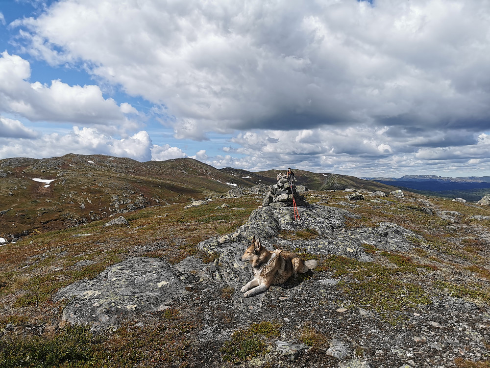 Nordøst for Fagerfjellet