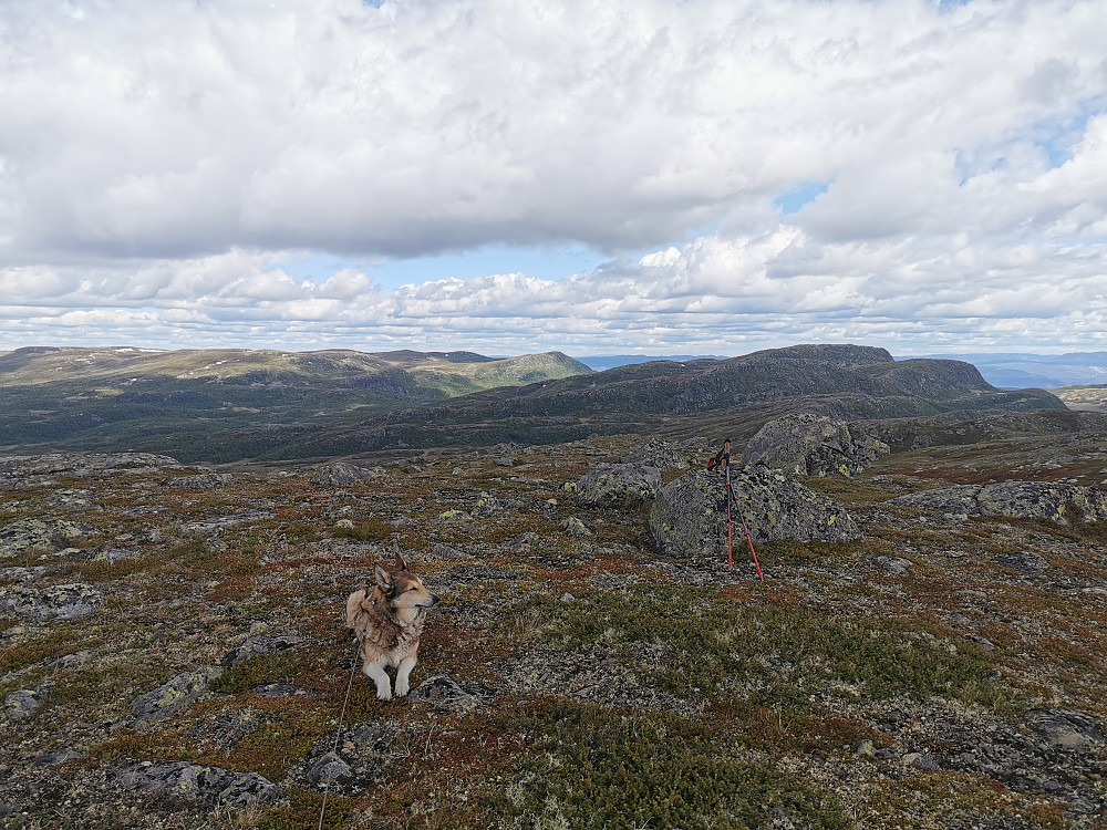 Fagerfjellet Øst