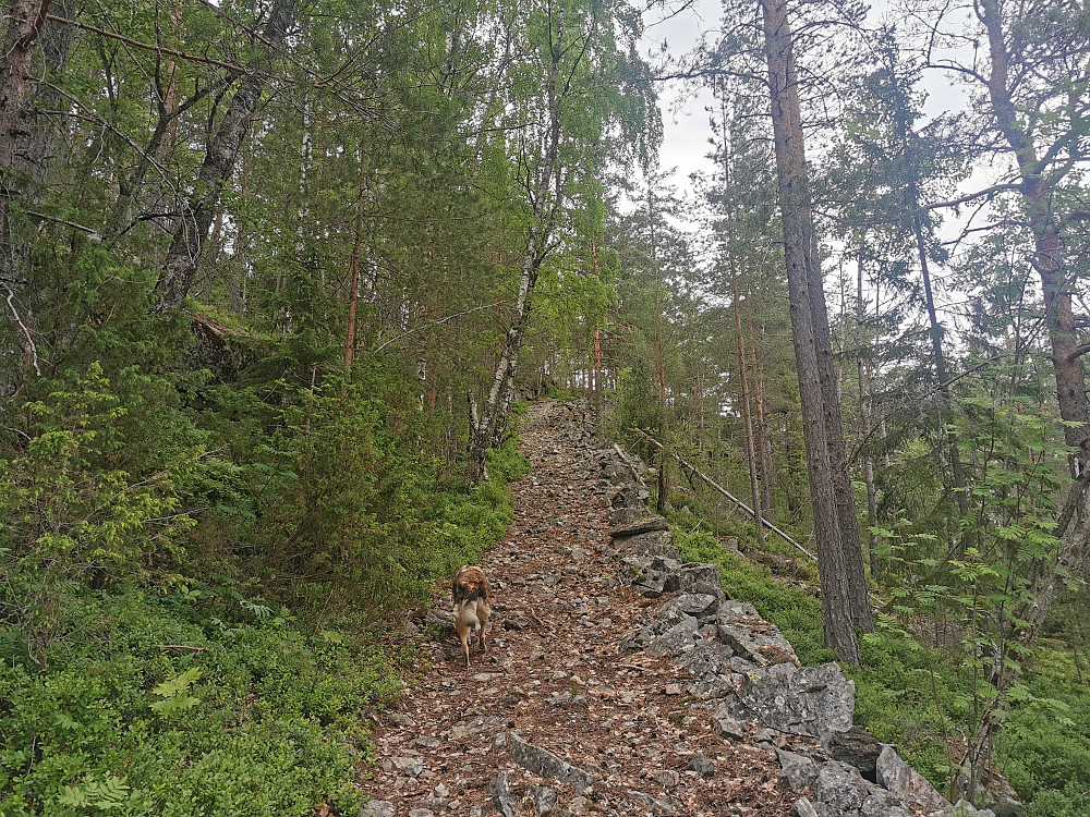 Fint å gå oppover her