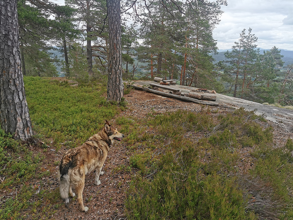 Østerholtknatten - utkikkspunkt