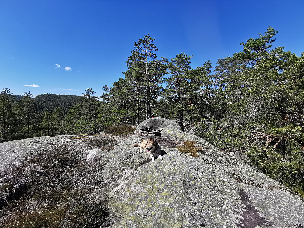 Toppunktet på Bukkefjell