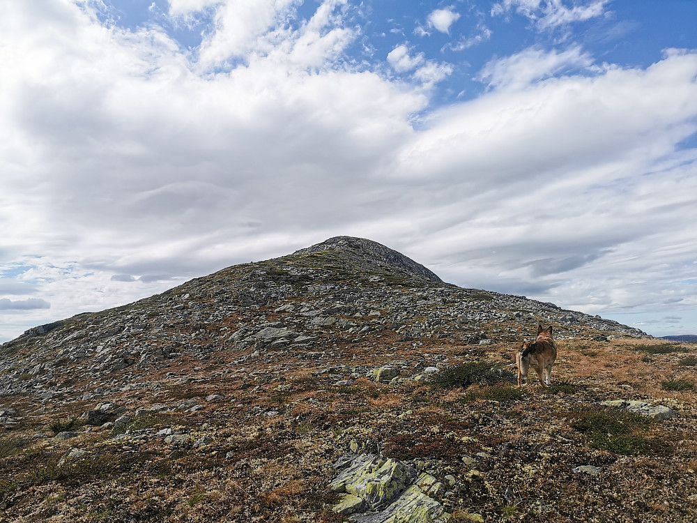 På vei opp til Vest for Rundenut