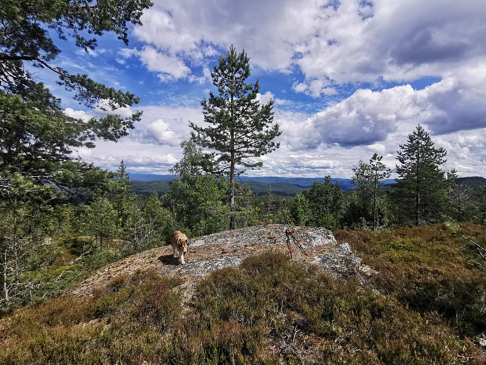 Toppunktet 