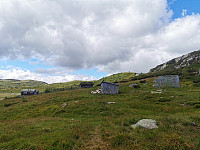 ovega_20240713_6692257d5084b.jpeg