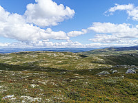 ovega_20240713_66922587d8b5b.jpeg