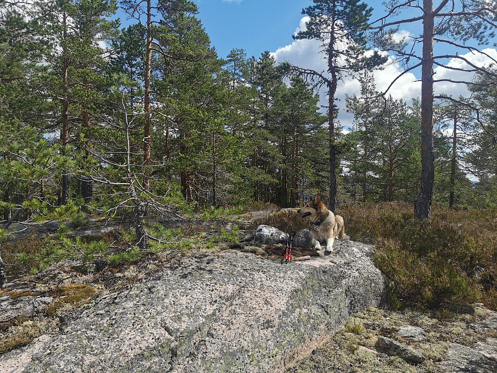 Skurufjell