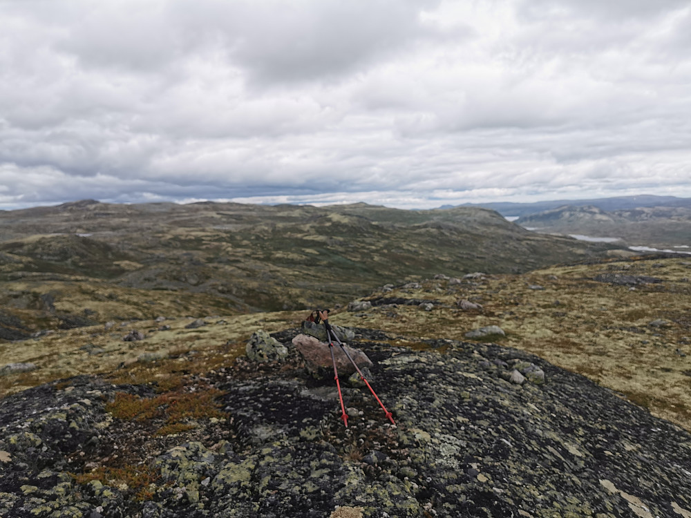 Grånuten