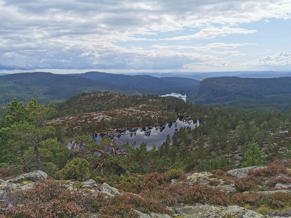 Utsikt fra Kjerringfjell