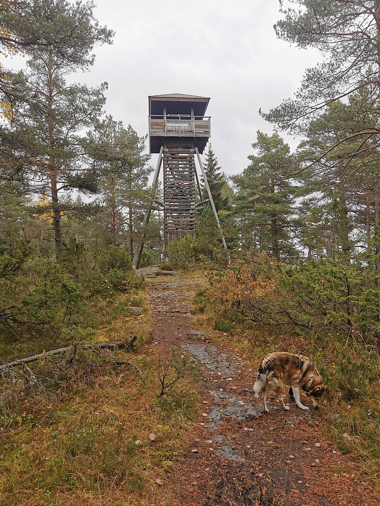 Risdalsåsen