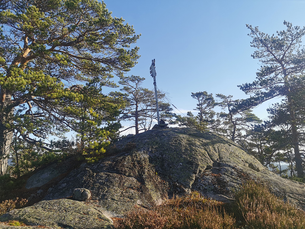 Braknesheia Sør