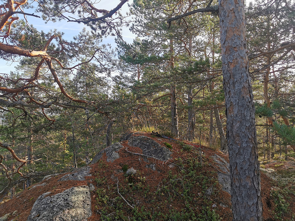 Spåleknuten