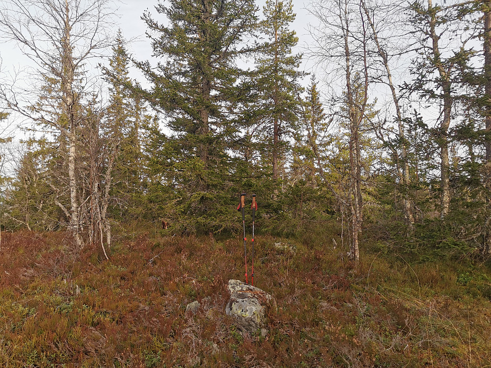 Snaukollen Nord