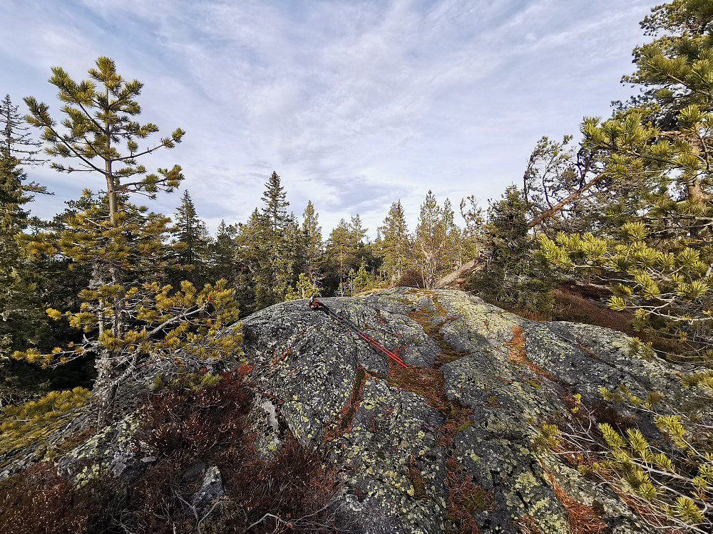 Snaukollen