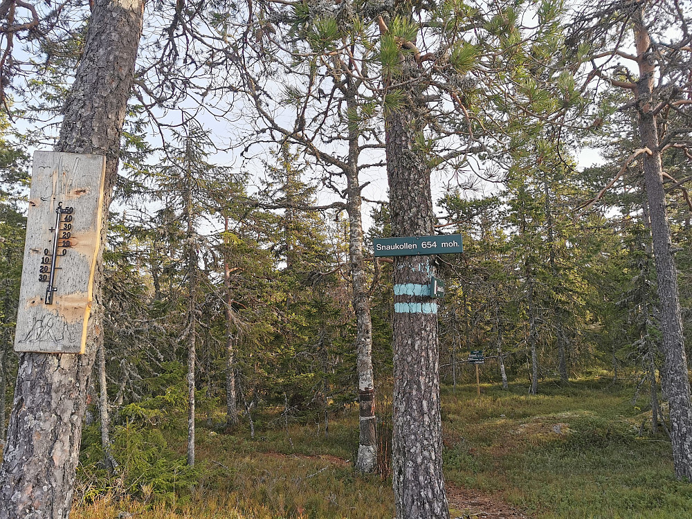 Snaukollen Sørvest