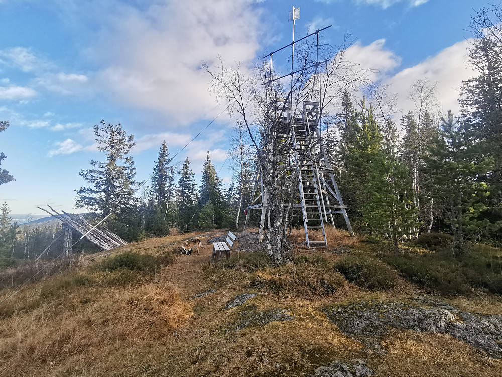 Det slitne tårnet på Glomsrudkollen