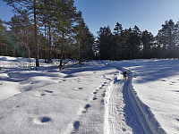 ovega_20250206_67a4b4142b342.jpeg
