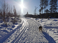 ovega_20250212_67ac33a504bdf.jpeg
