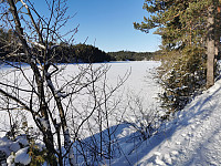 ovega_20250212_67ac33acc9006.jpeg
