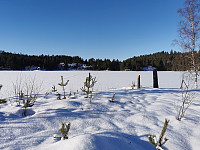 ovega_20250212_67ac33c33357f.jpeg