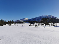 ovega_20250303_67c552695d940.jpeg
