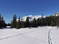 ovega_20250303_67c5526a3721b.jpeg