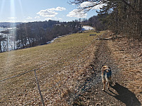 ovega_20250315_67d52a598fb00.jpeg