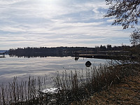 ovega_20250319_67da68ba7d34a.jpeg