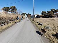 ovega_20250401_67eb865080a48.jpeg