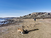 ovega_20250401_67eb8651dbd4f.jpeg