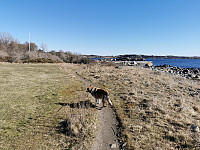 ovega_20250401_67eb865321f3b.jpeg