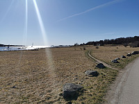 ovega_20250401_67eb865576f5e.jpeg