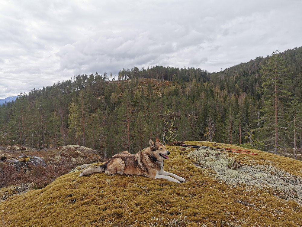 Sør for Skorva 2