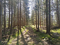 ovega_20250430_6811bb525f0ed.jpeg