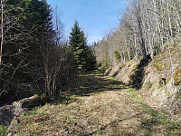 ovega_20250430_6811bb53bdc4b.jpeg