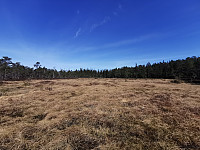 ovega_20250430_6811bb5a33f90.jpeg