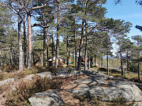 ovega_20250430_6811bb5bd2c82.jpeg