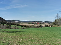 ovega_20250430_6811bb650e1fe.jpeg