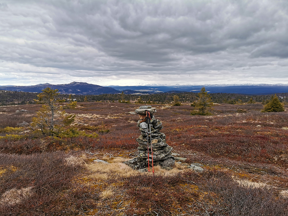 Varden på Skinnfjellet