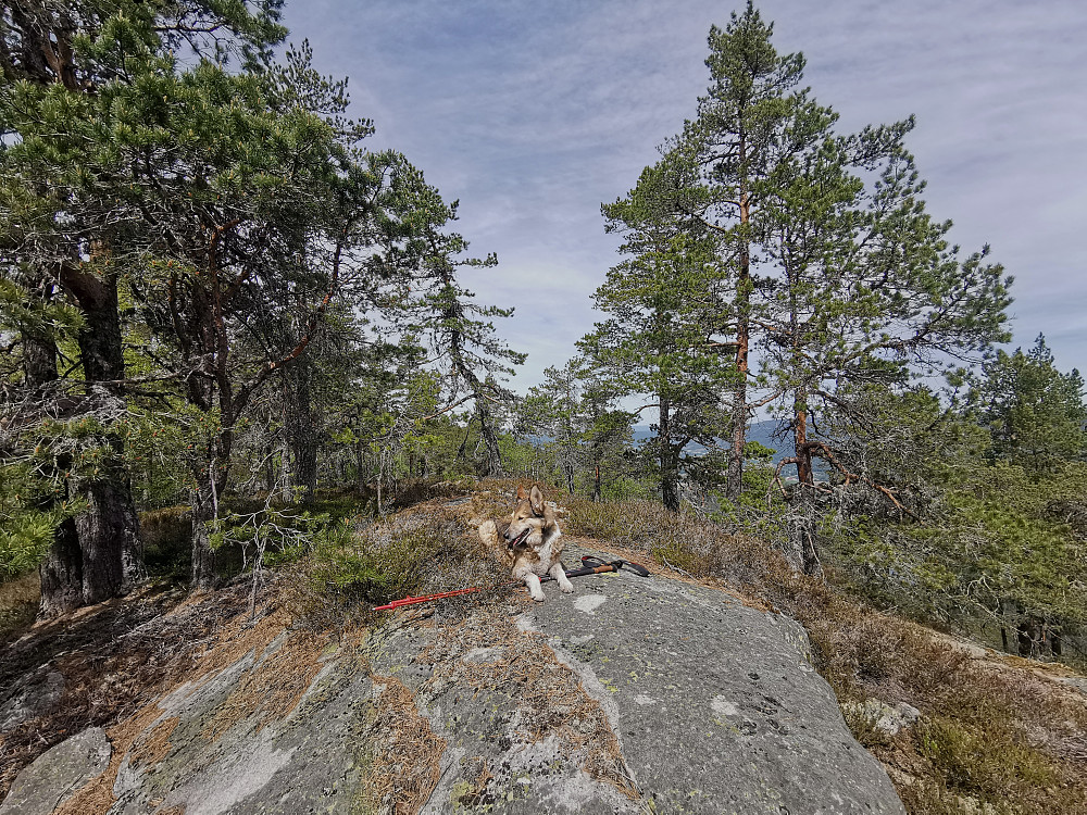 Som vanlig markerer Kira toppen.